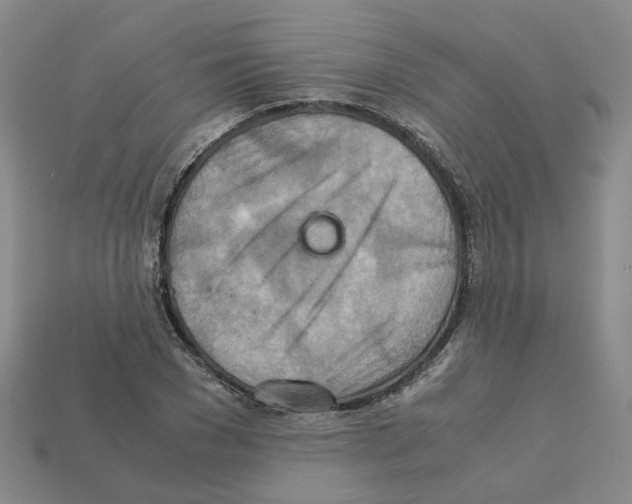 X0000111900977200909071132