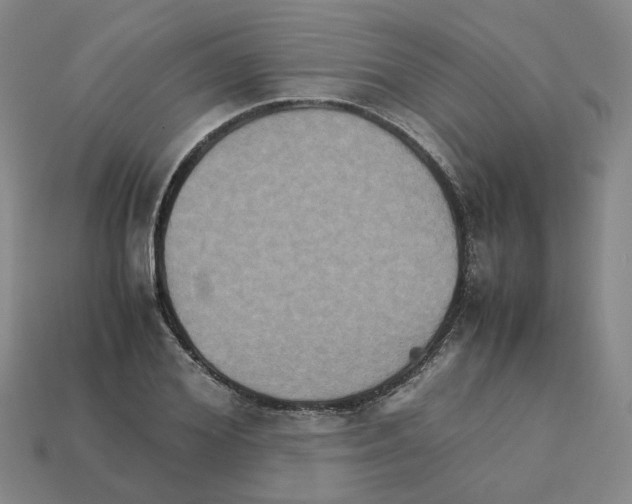 X0000111900980200909071132