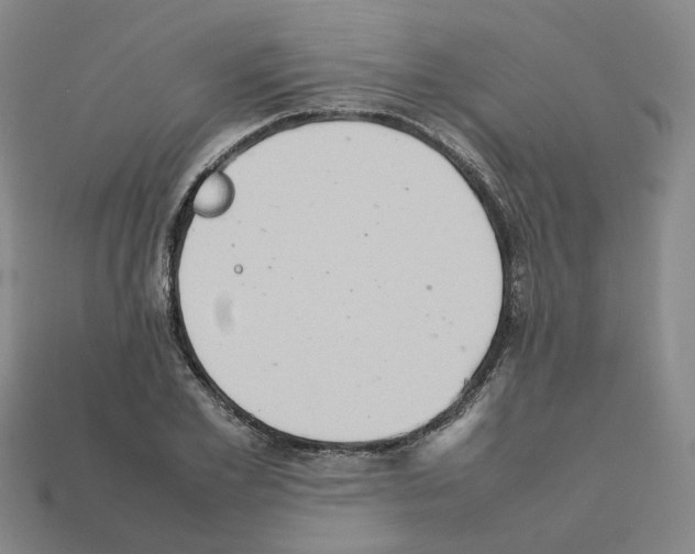 X0000111900981200909071132