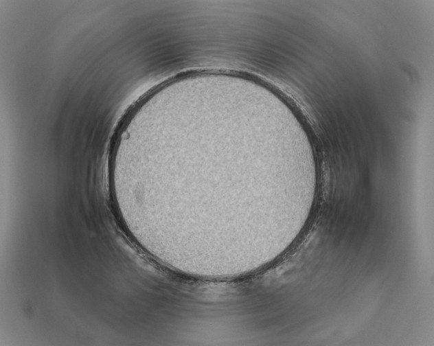 X0000111900982200909071132