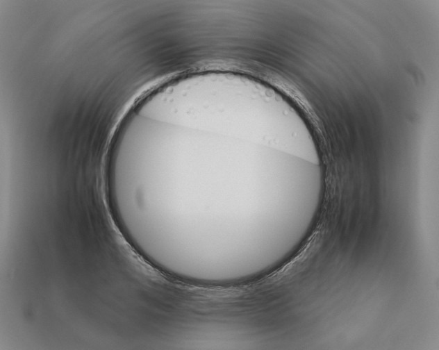 X0000111900984200909071132