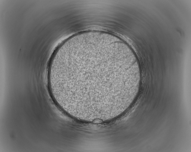 X0000111900987200909071132