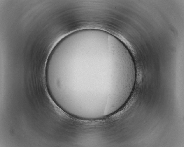 X0000111900988200909071132