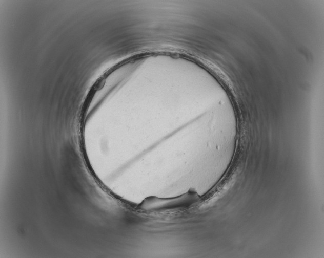 X0000111900989200909071132