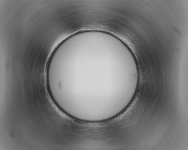 X0000111900990200909071132