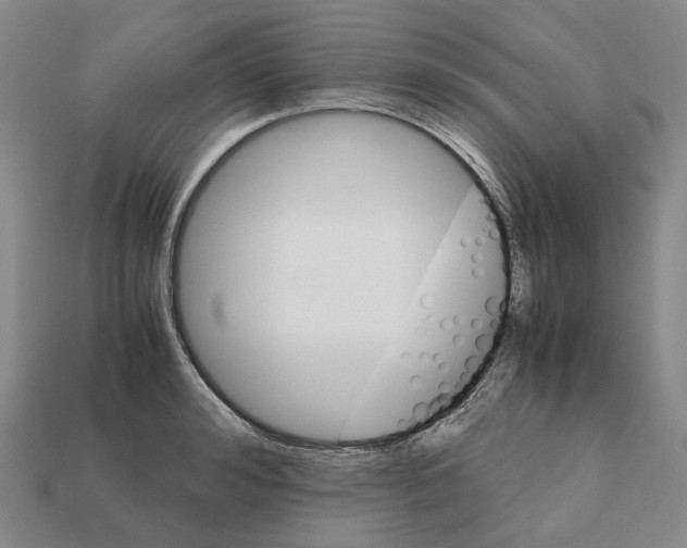 X0000111900992200909071132