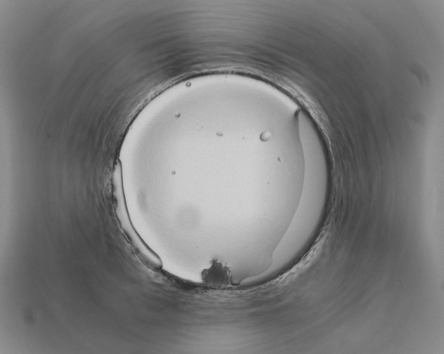 X0000111900993200909071132