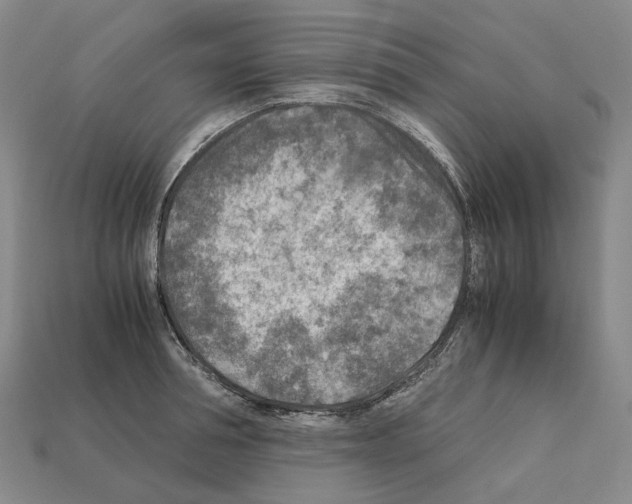 X0000111900994200909071132