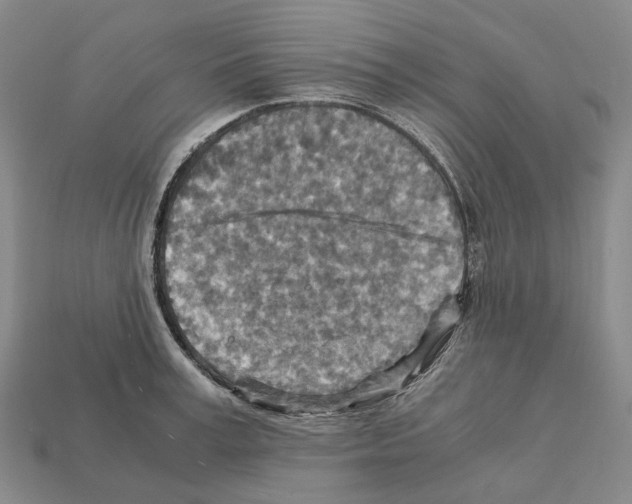 X0000111900995200909071132