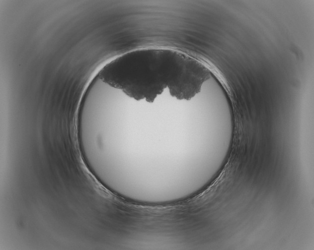 X0000111900996200909071132