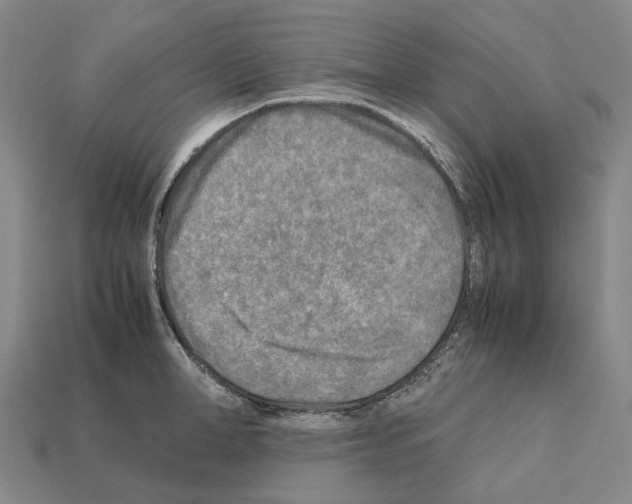 X0000111900998200909071132