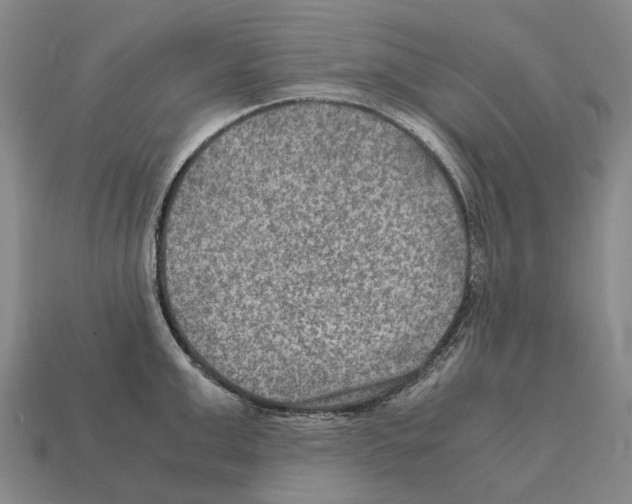 X0000111900999200909071132