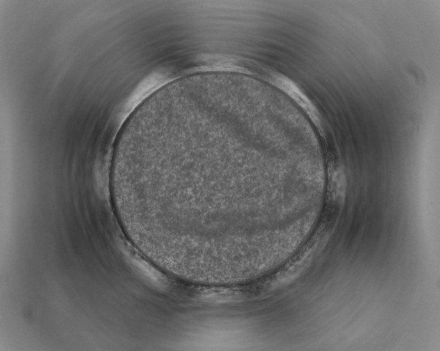 X0000111901002200909071132