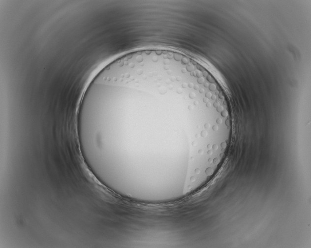 X0000111901004200909071132