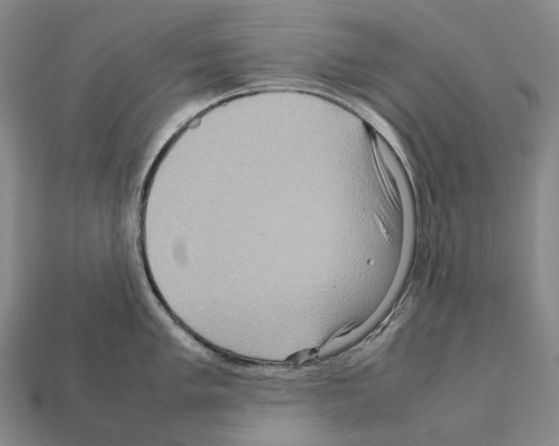 X0000111901005200909071132