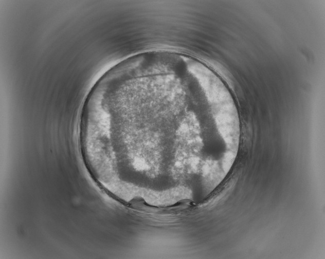 X0000111901007200909071132