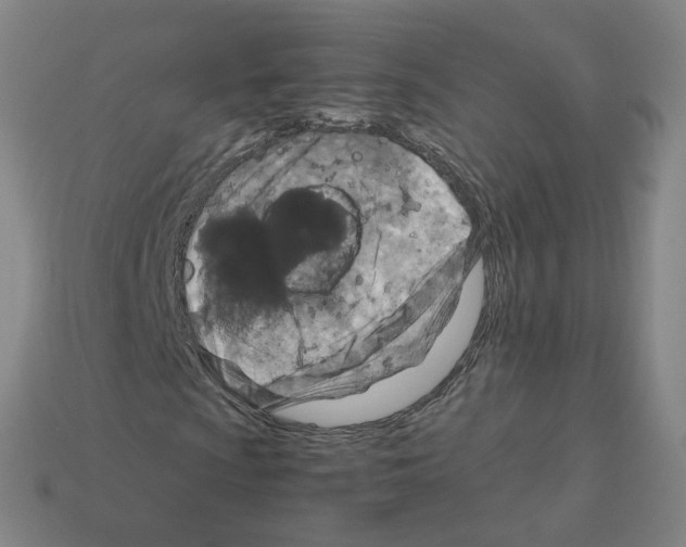 X0000111901009200909071131