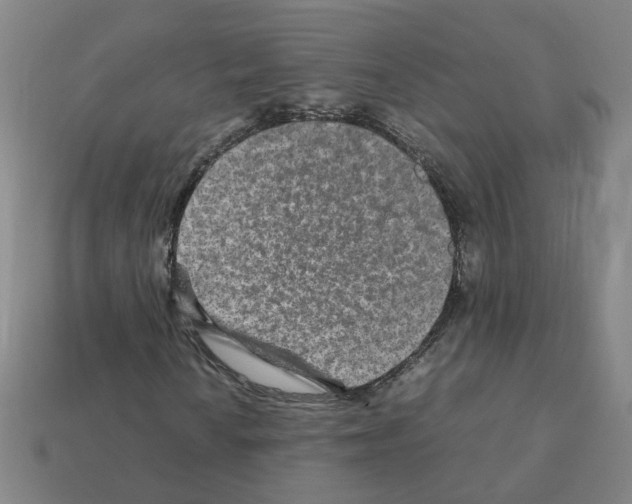 X0000111901010200909071131