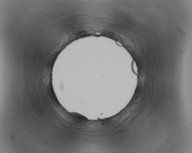 X0000111901012200909071131