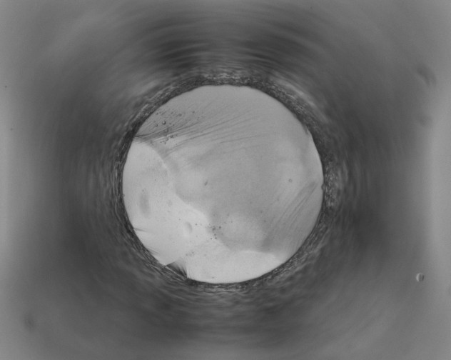 X0000111901013200909071131