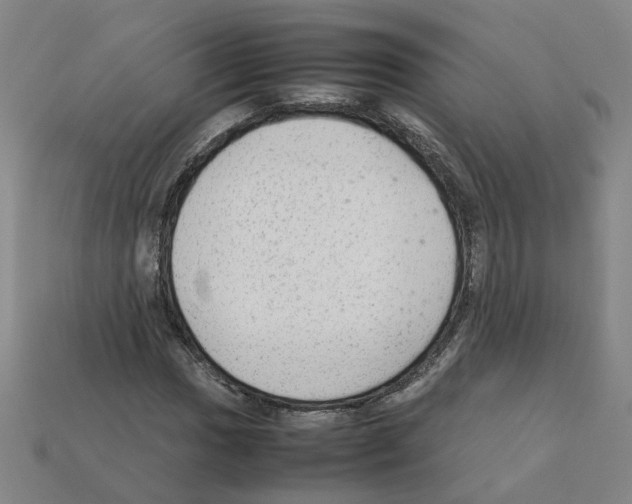 X0000111901017200909071132