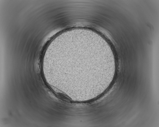 X0000111901018200909071132