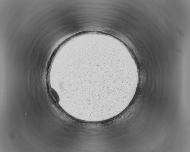 X0000111901020200909071132