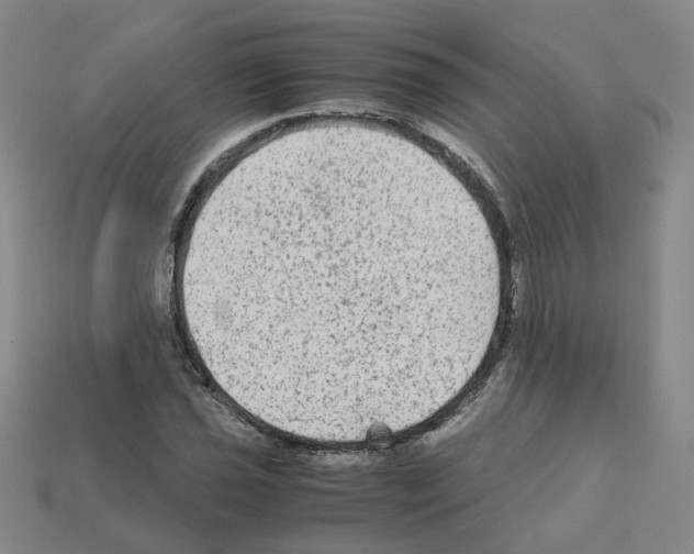 X0000111901021200909071132