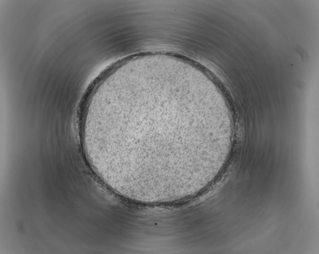 X0000111901022200909071132