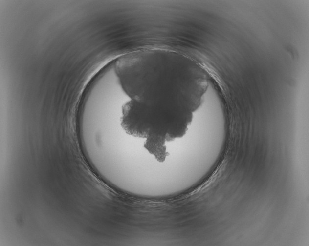 X0000111901023200909071132