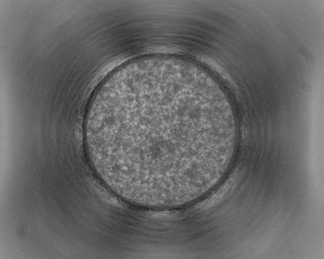 X0000111901025200909071132