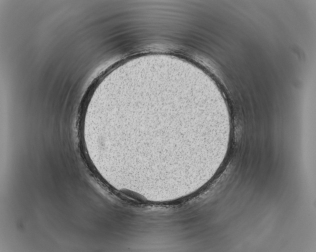 X0000111901026200909071132