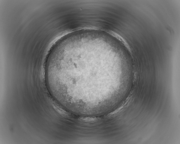 X0000111901027200909071132