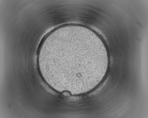 X0000111901029200909071132