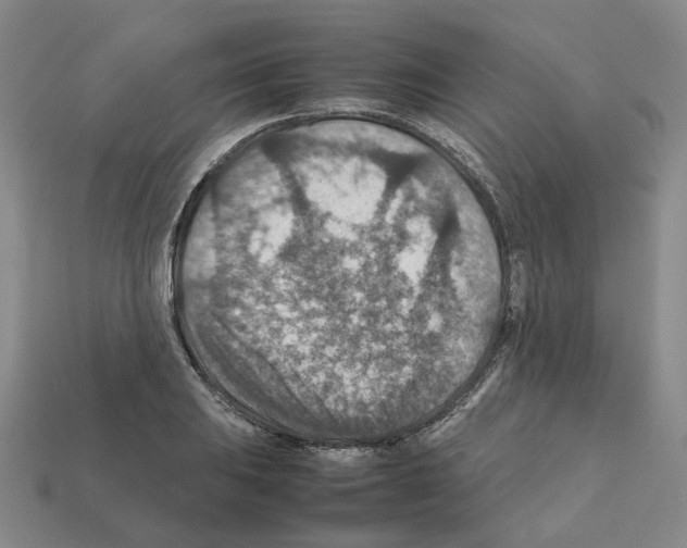 X0000111901031200909071132