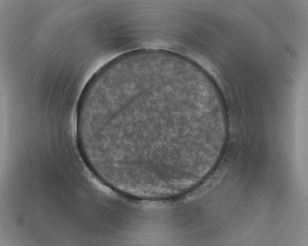 X0000111901032200909071132