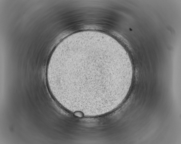 X0000111901033200909071132