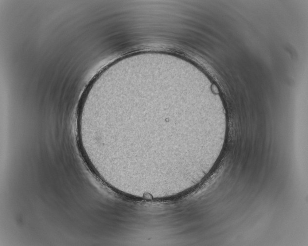 X0000111901034200909071132