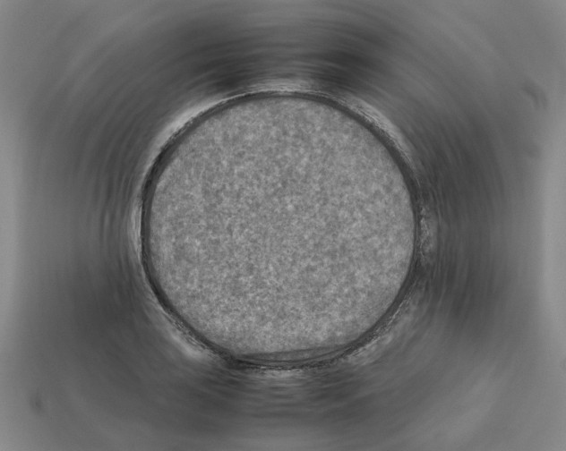 X0000111901035200909071132