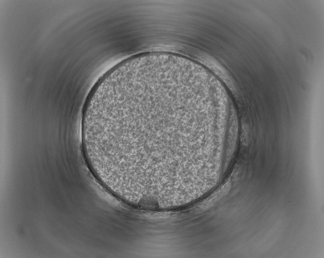 X0000111901036200909071132