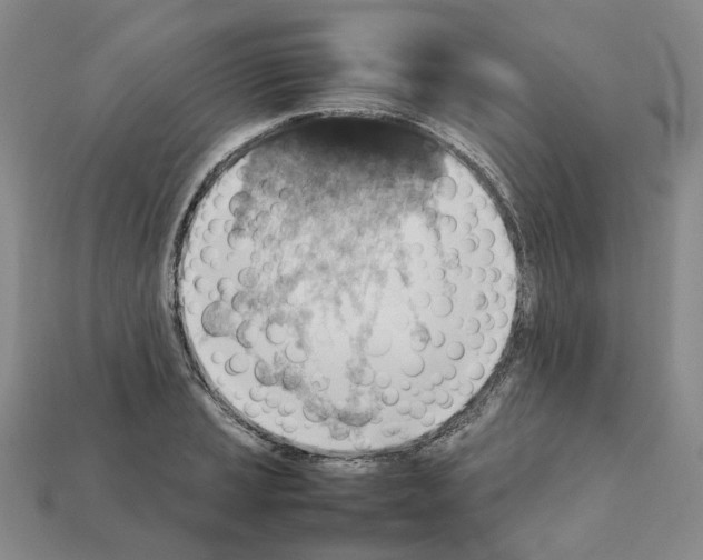 X0000111901037200909071132