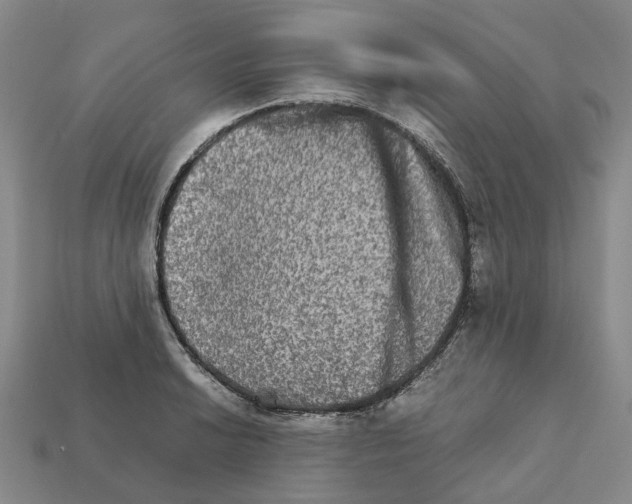 X0000111901038200909071132