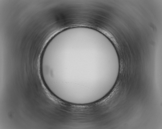 X0000111901039200909071132