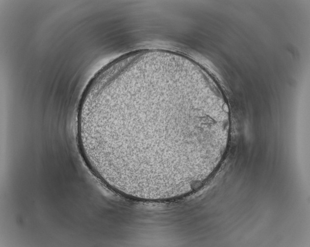 X0000111901040200909071132