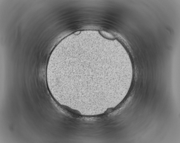 X0000111901041200909071132