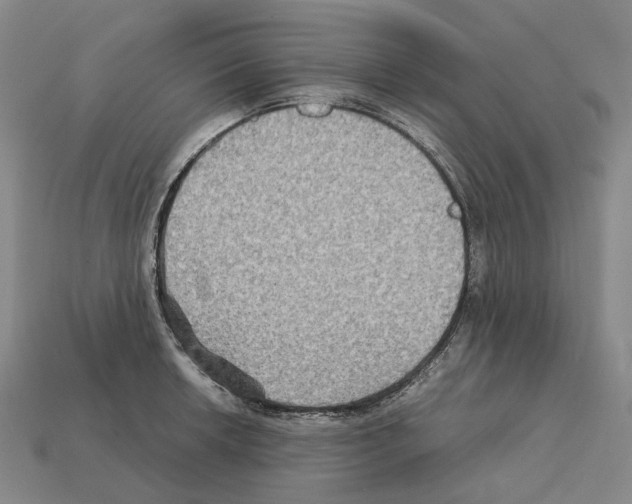 X0000111901042200909071132