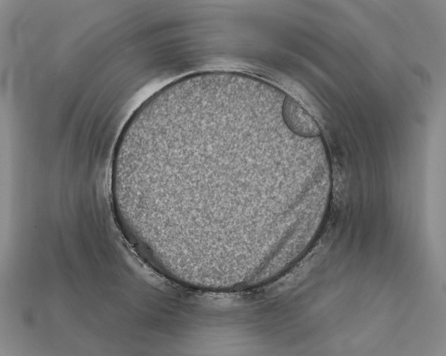 X0000111901044200909071132