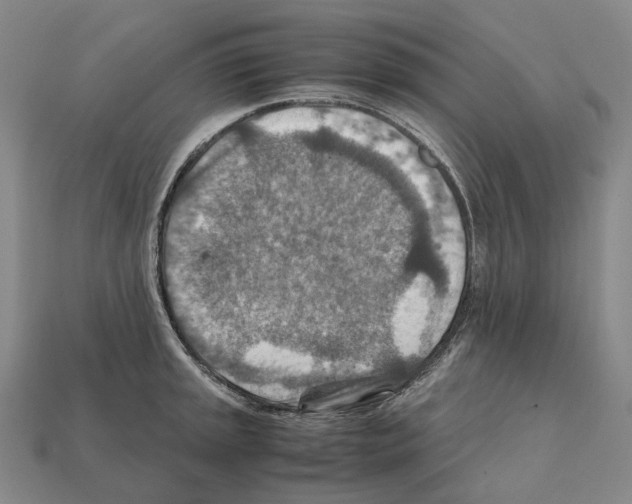 X0000111901045200909071132