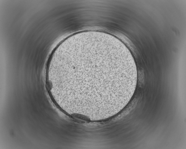 X0000111901046200909071132