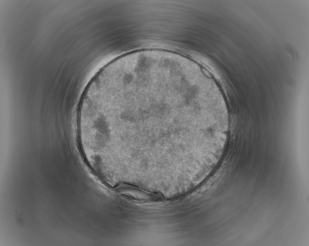 X0000111901048200909071132